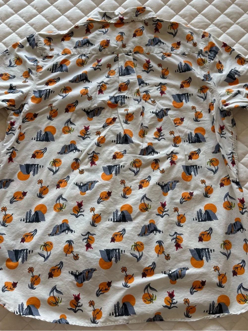 The North Face Men's Baytrail Pattern Shirt Valley Sun Print - Size XL
